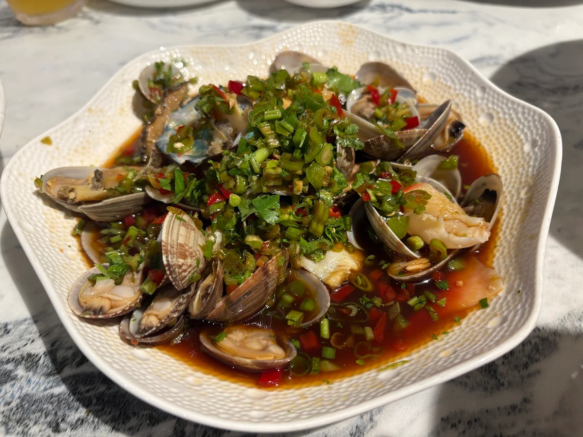 spicy stirfried clams 辣炒花甲